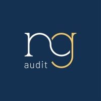 ng_audit_logo ng_audit_logo